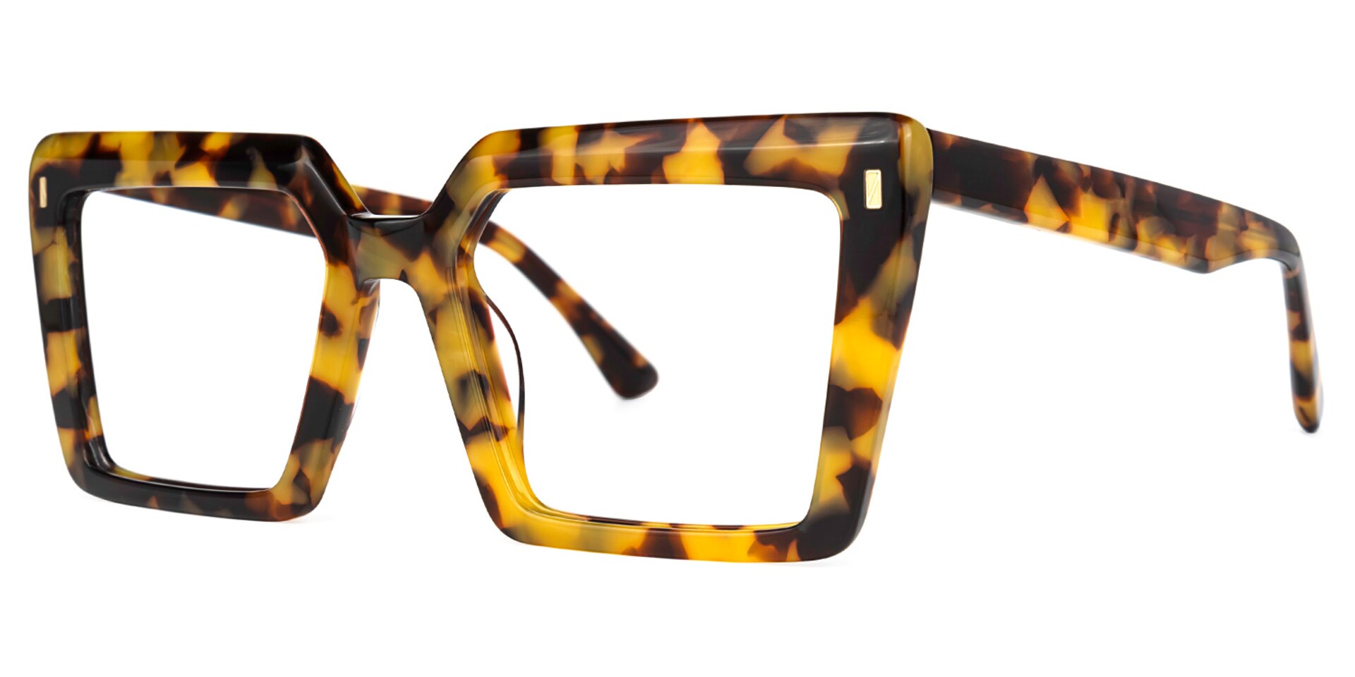 Nelisa Square Tortoise Glasses | Zeelool Glasses2