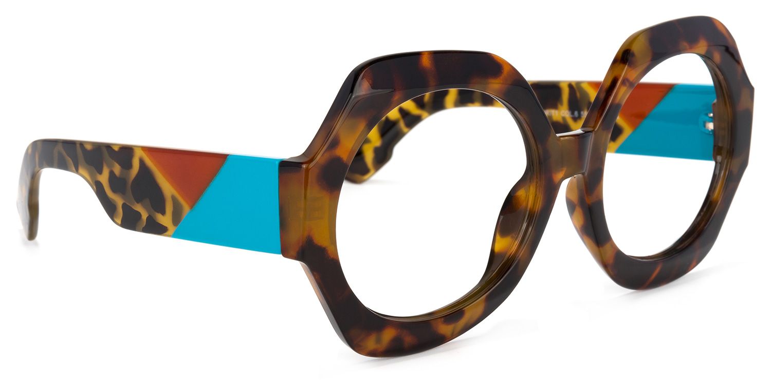 Geoffrey Geometric Tortoise Glasses | Zeelool Glasses2