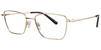 Osborn Rectangle Gold Glasses2