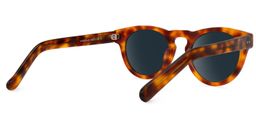 Malloy Round Tortoise Sunglasses3