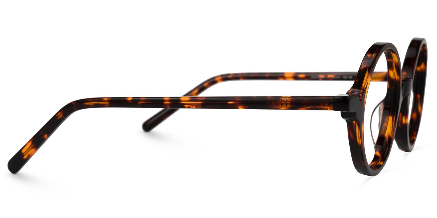 Otto Round Tortoise Glasses | Zeelool Glasses2