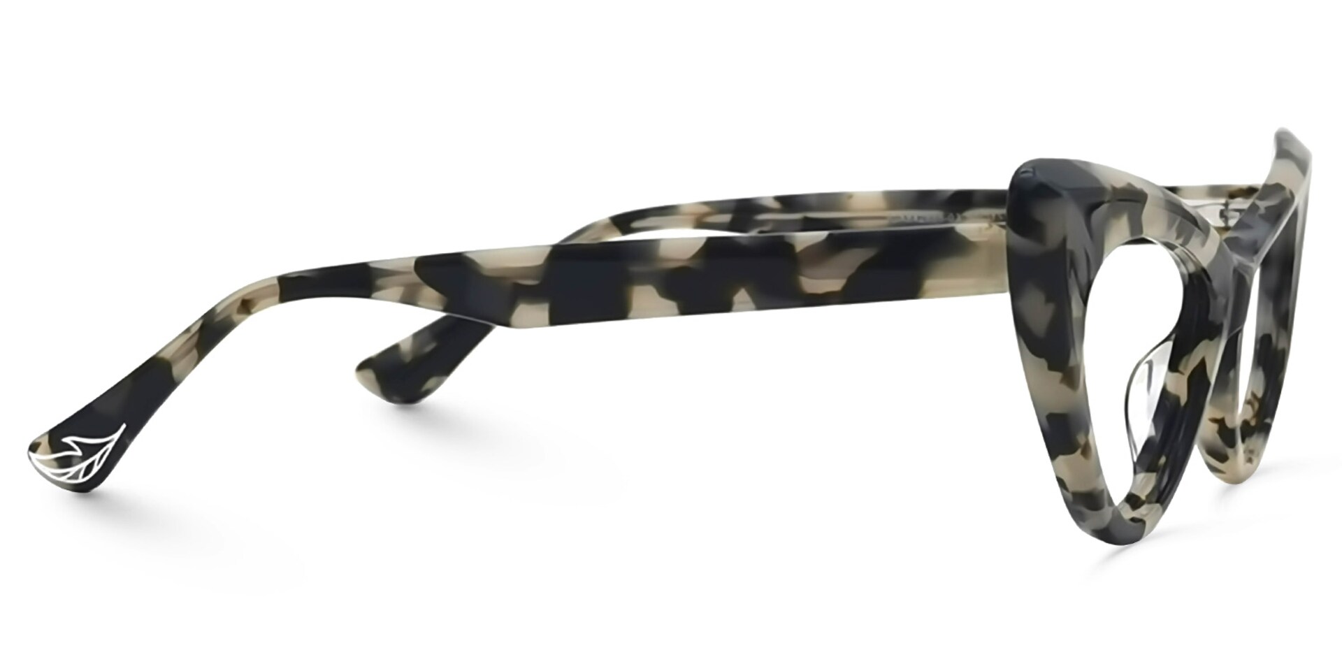 Diallo Cateye Tortoise Glasses | Zeelool Glasses2