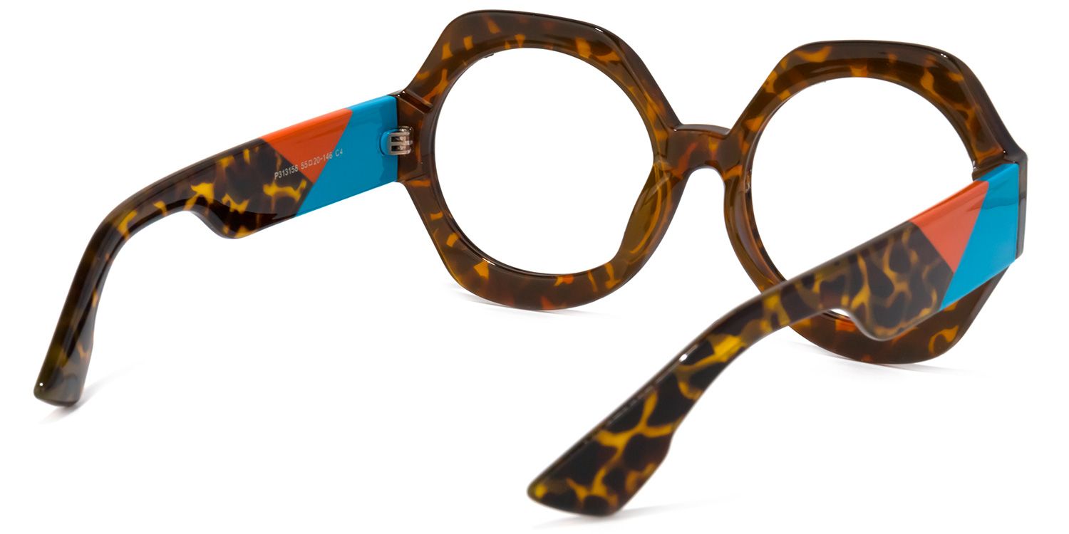 Geoffrey Geometric Tortoise Glasses | Zeelool Glasses4