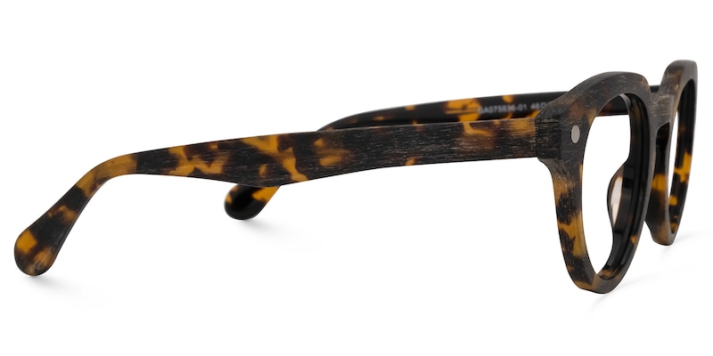 Galmore Round Tortoise Glasses | Zeelool Glasses2