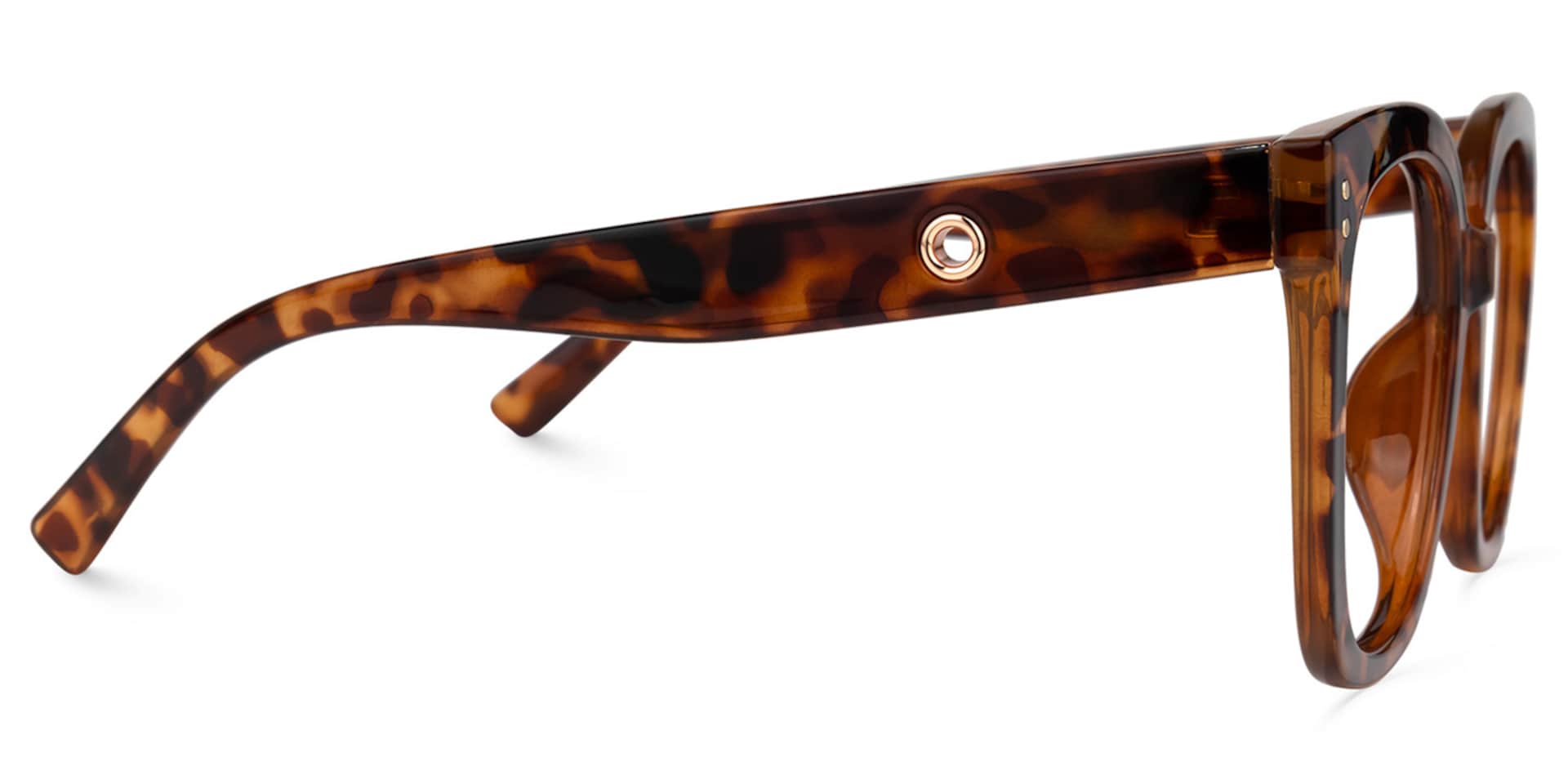 Ebony Tortoise Eyeglasses and Square Glasses Frames2