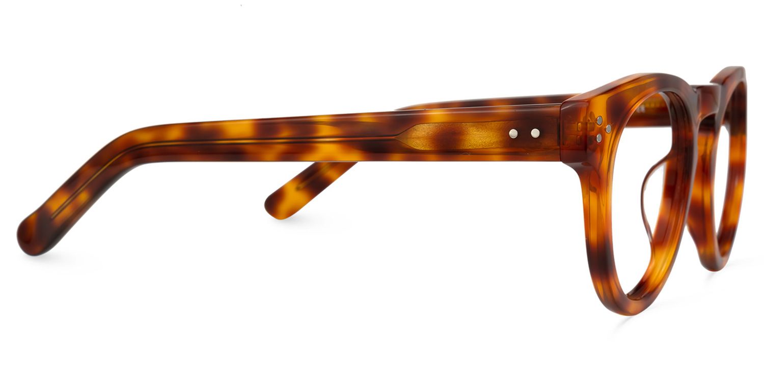 Round Tortoise Glasses | Zeelool Eyeglasses Online2