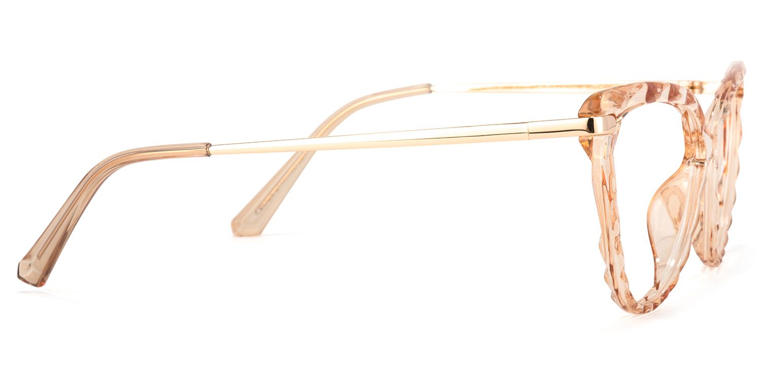 Lucas Cateye Beige Eyeglasses and Translucent Frame3