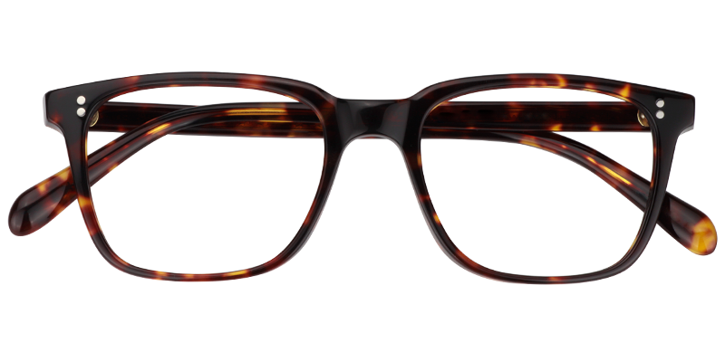 Lamont Rectangle Tortoise Frame Glasses | Zeelool1
