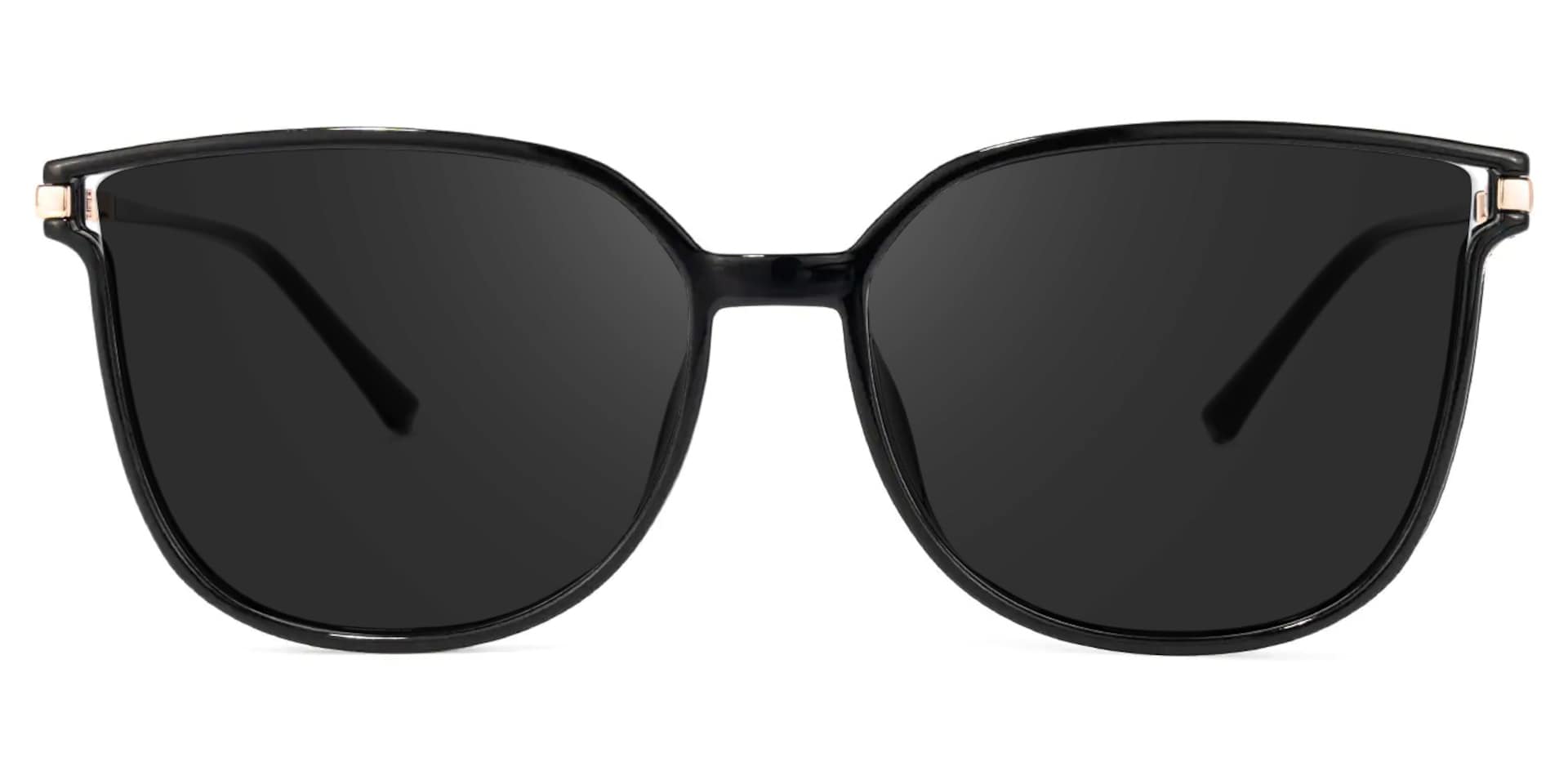 Rodz Square Black Sunglasses | Zeelool Glasses0