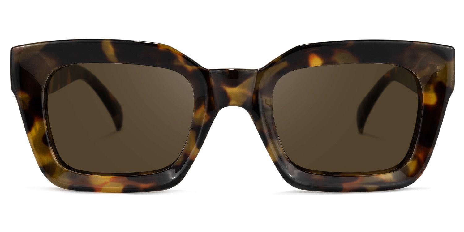 Nevaeh Square Tortoise Sunglasses | Zeelool Glasses0