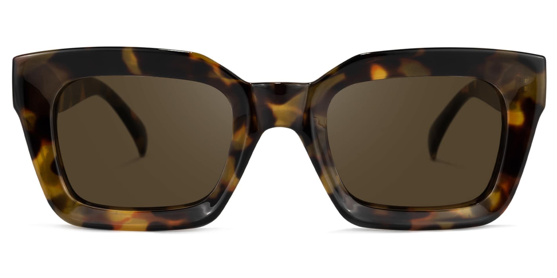 Nevaeh Square Tortoise Sunglasses | Zeelool Glasses0