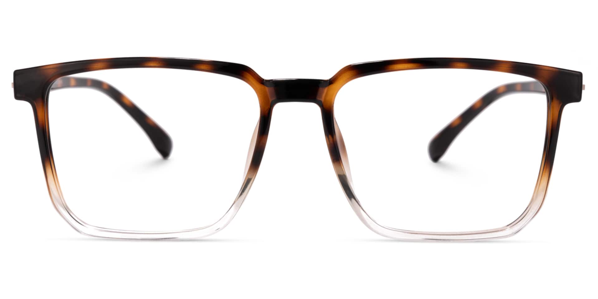 Zavala Rectangle Tortoise Glasses | Zeelool Glasses0