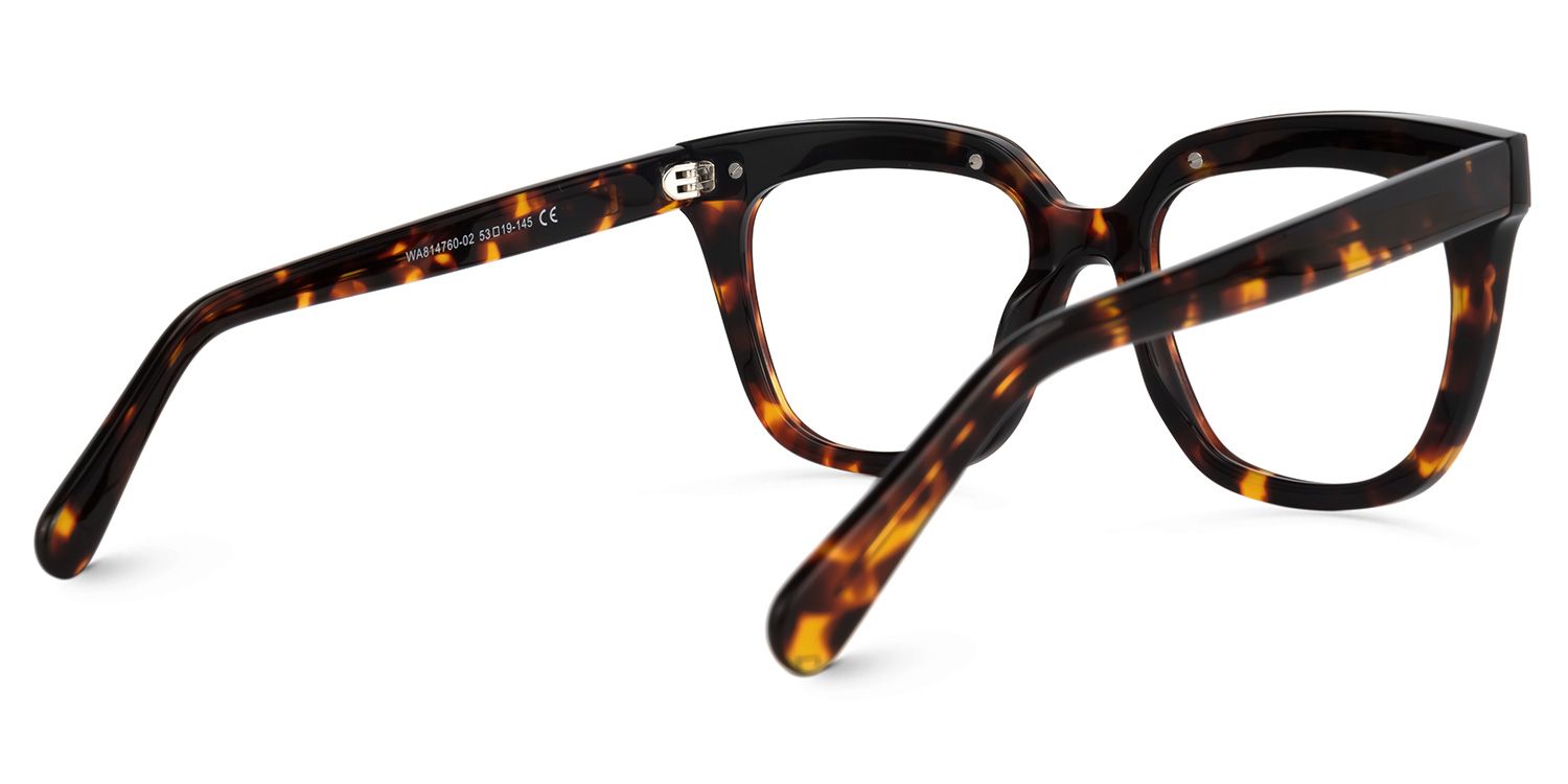 Milledge Square Tortoise Glasses | Zeelool Glasses3