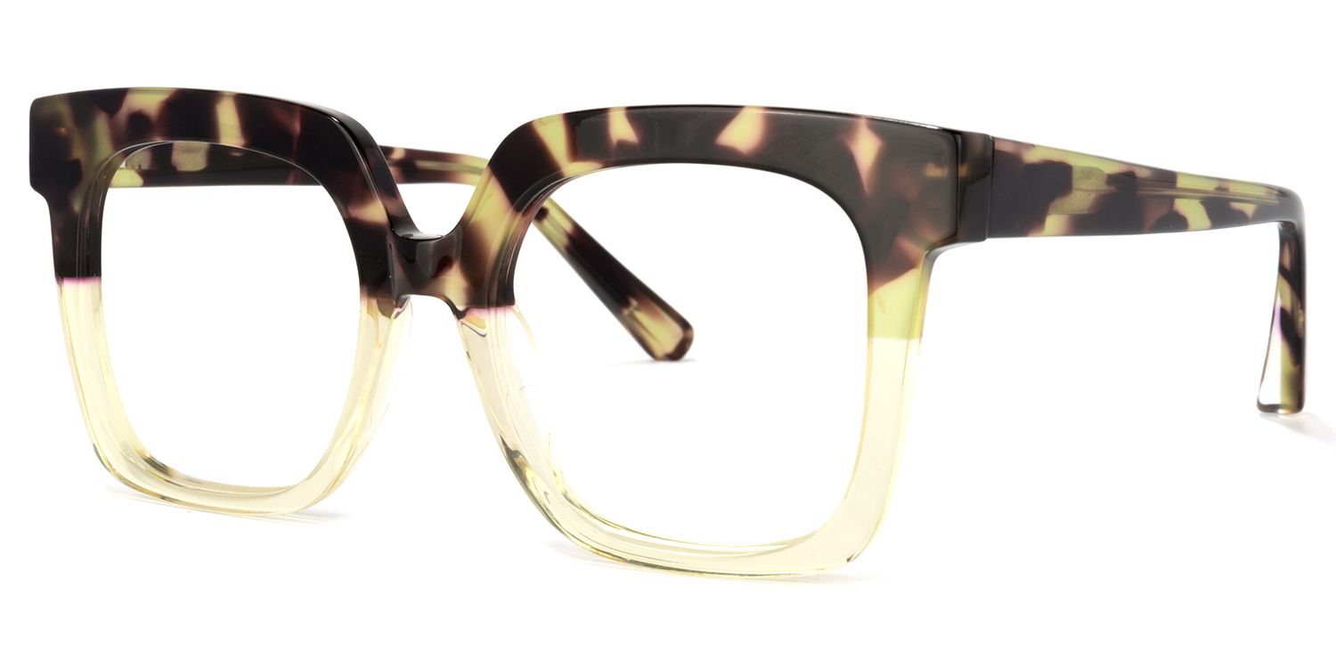 Dexter Square Tortoise Glasses | Zeelool Glasses1