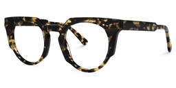 Jenkins Geometric Tortoise Glasses1