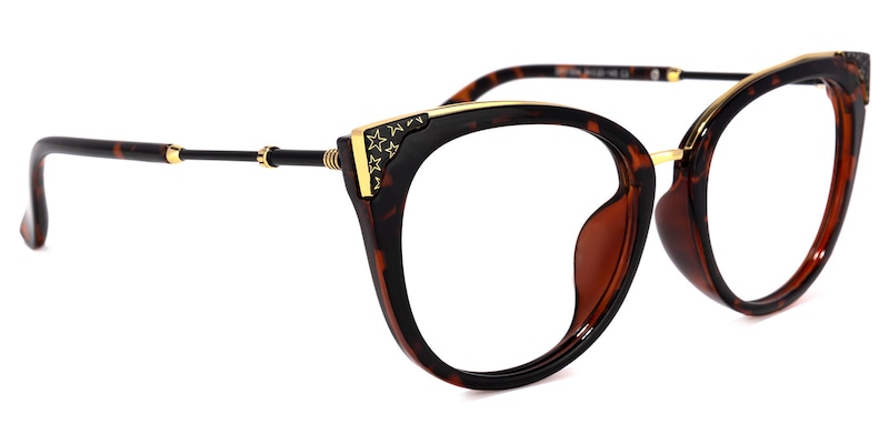 Dalton Cat Eye Tortoise Glasses | Zeelool Glasses2