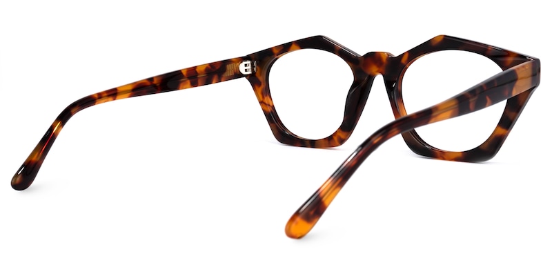 Flores Geometric Tortoise Glasses | Zeelool Glasses4