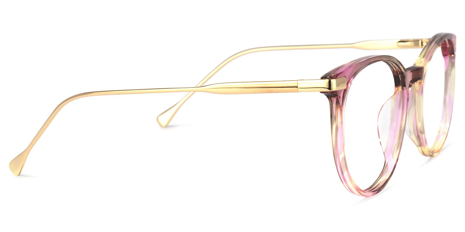 Lenid Round Multicolor Eyeglasses and Thin Frames2