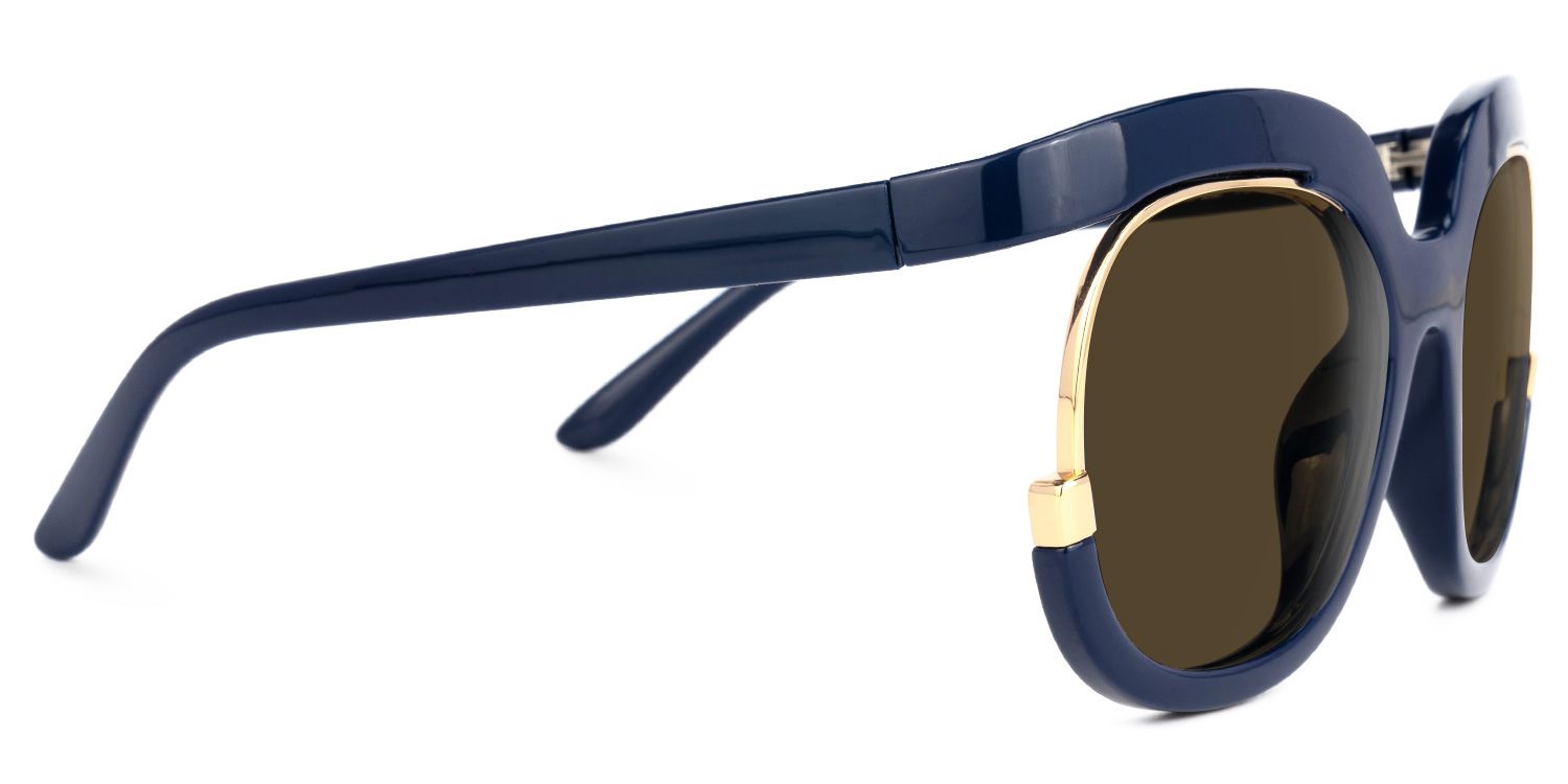 Darice Round Style Dark-Blue Frame Sunglasses | ZEELOOL2
