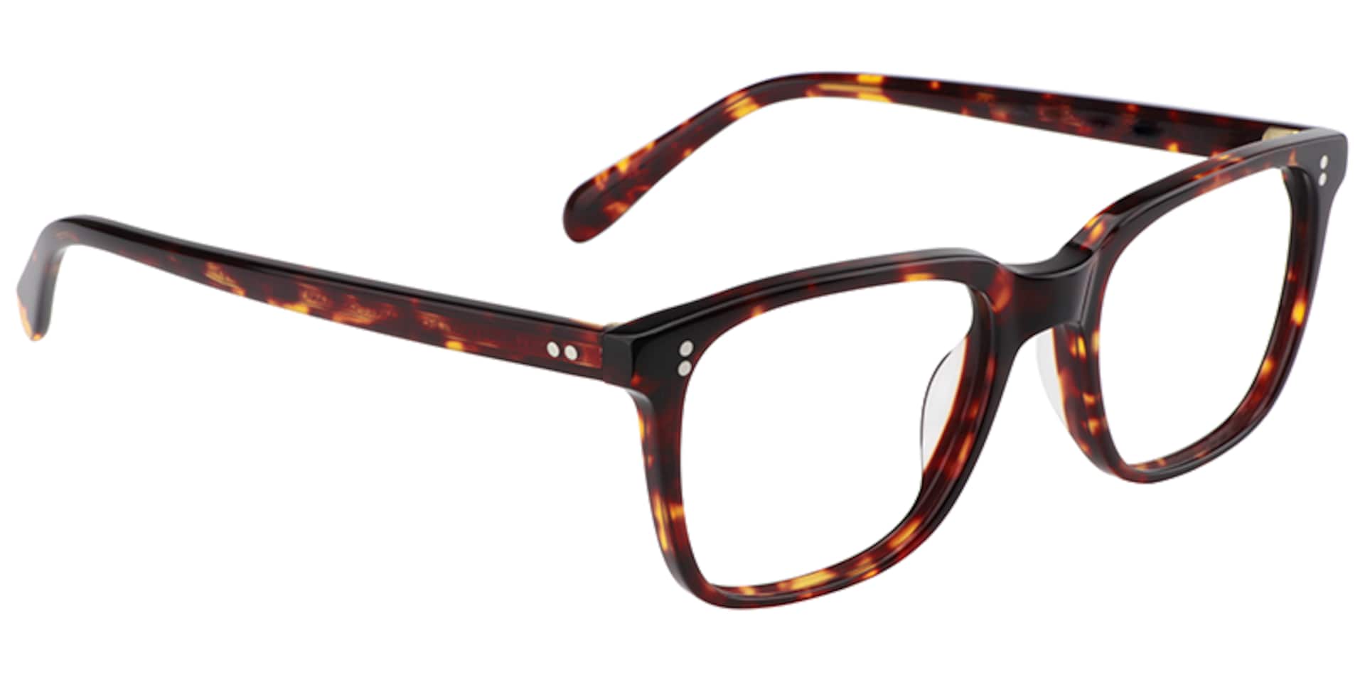 Lamont Rectangle Tortoise Frame Glasses | Zeelool3