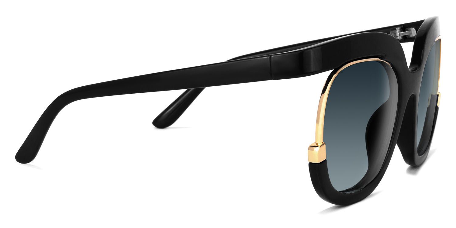 Darice Black Round Polarized Sunglasses for Driving | ZEELOOL CA2