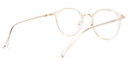 Irizarry Round Clear Glasses4