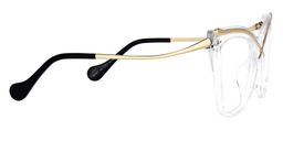 Winston Butterfly Clear Glasses3