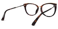 Dalton Cat Eye Tortoise Glasses4