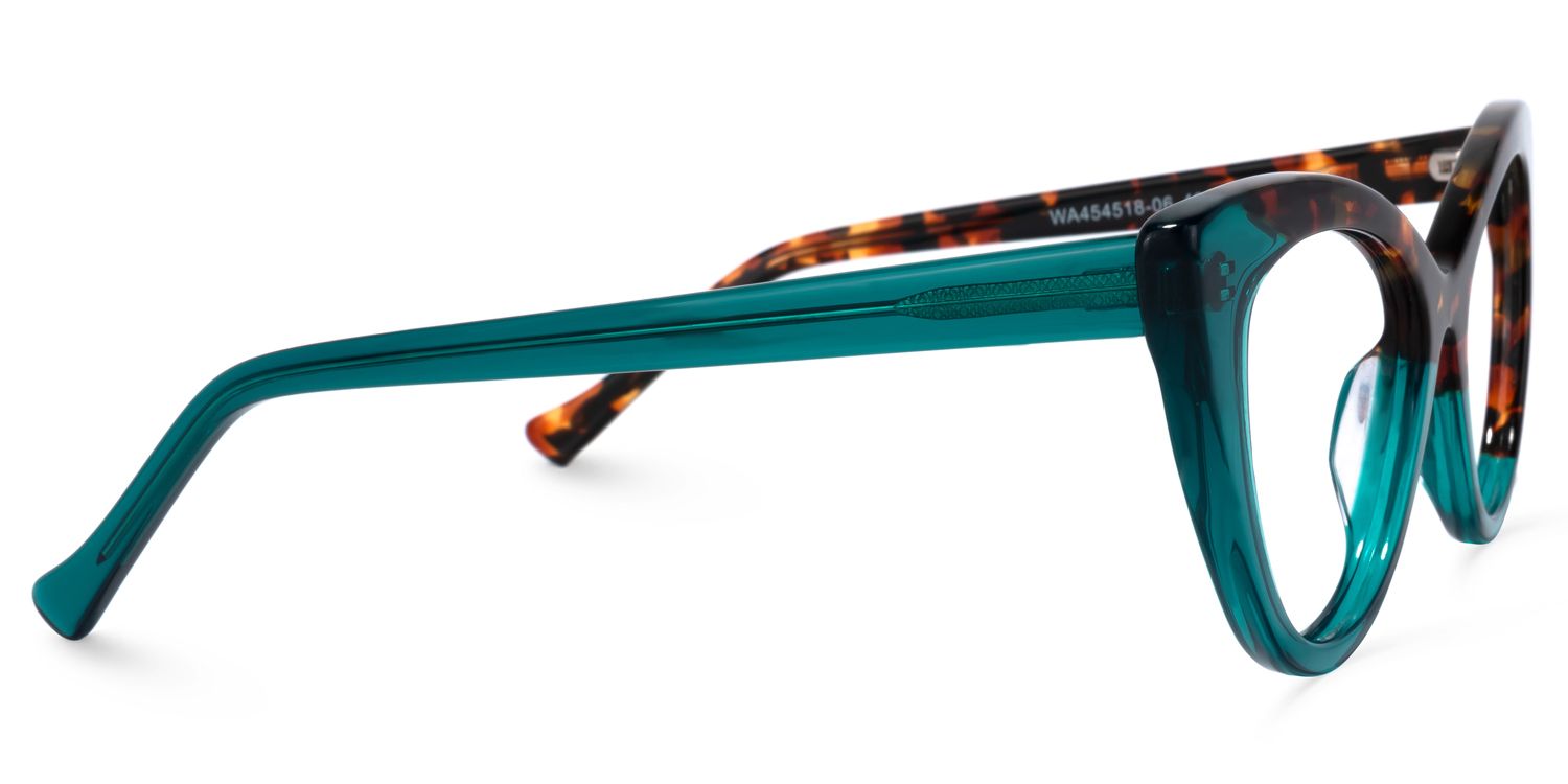 Maxine Cat-eye Tortoise Eyeglasses & Glasses Frames3