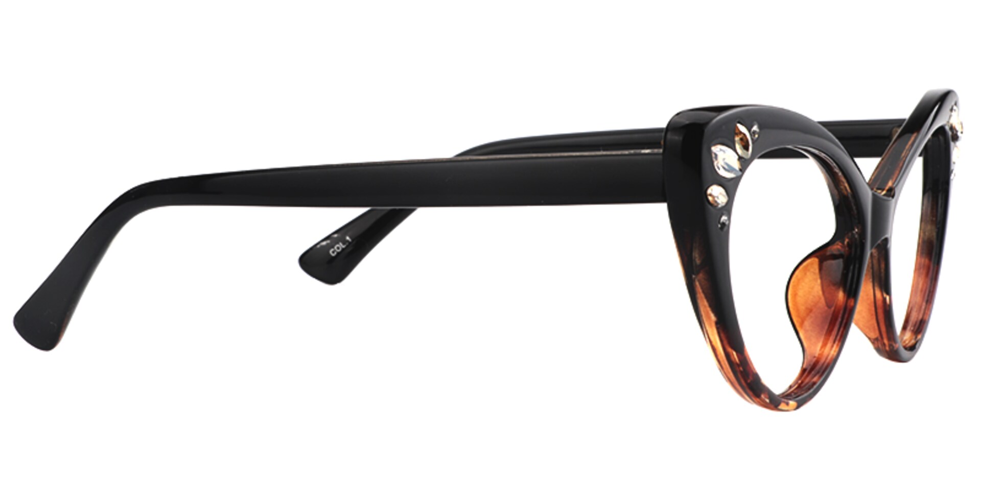 Cat Eye Tortoise Glasses6