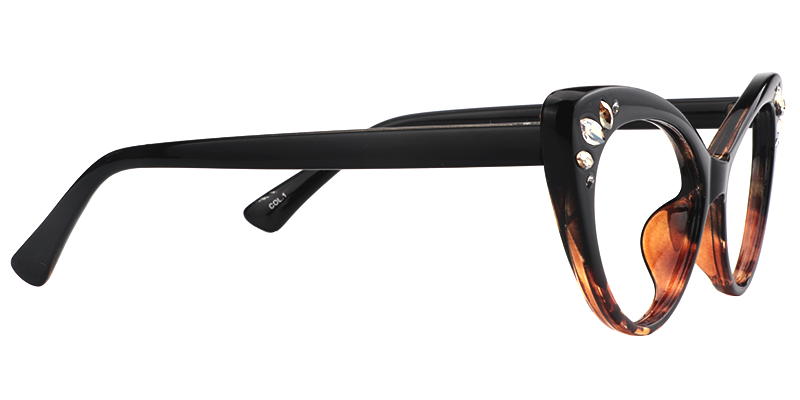 Cat Eye Tortoise Glasses5