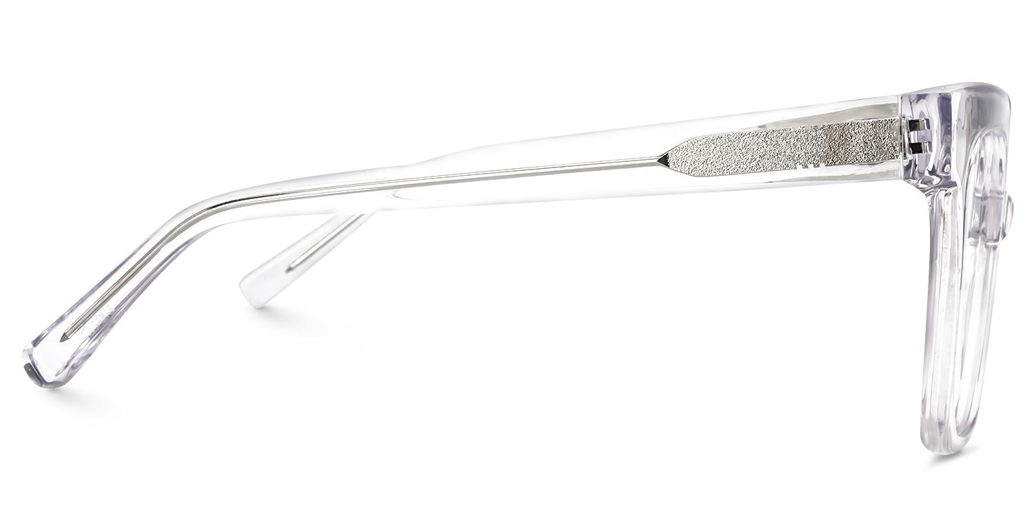 Dexter Square Clear Eyeglasses and Acetate Frames3