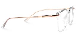 Mander Square Clear Glasses2