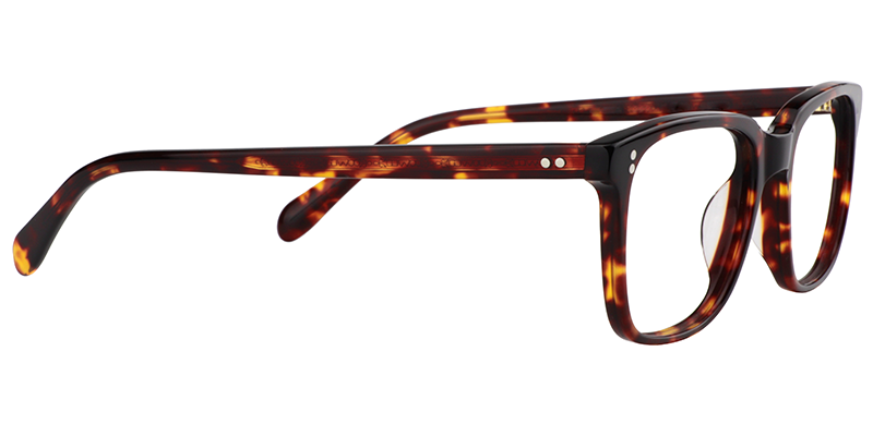 Lamont Rectangle Tortoise Frame Glasses | Zeelool4