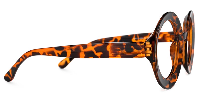 Franca Round Tortoise Glasses | Zeelool Glasses2