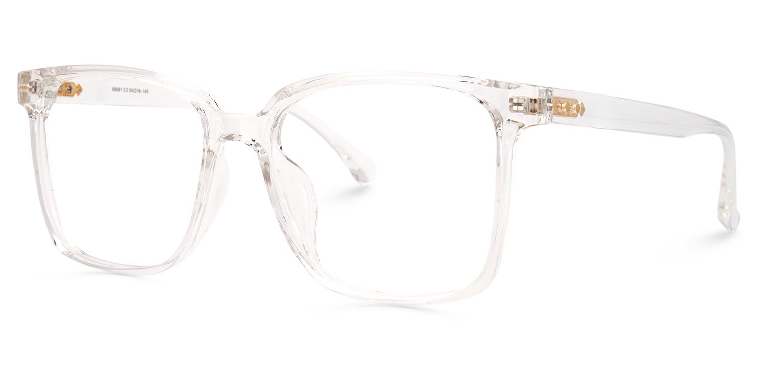 Square Contreras Eyeglasses and Crystal Frame1