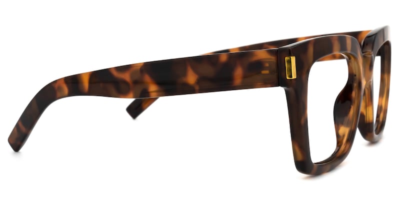Johana Square Tortoise Glasses | Zeelool Glasses2