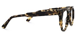 Jenkins Geometric Tortoise Glasses2