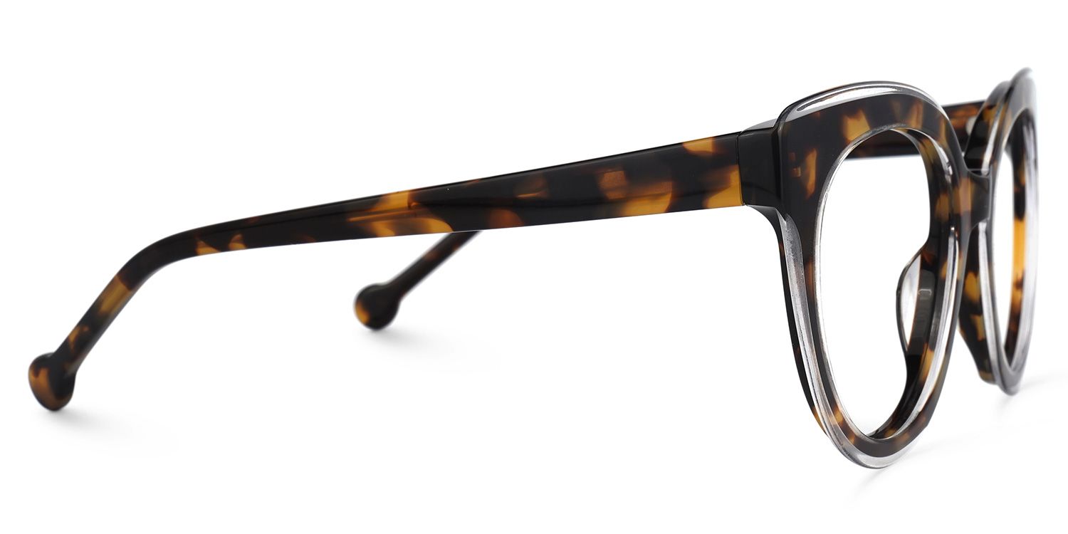 Brewster Round Tortoise Glasses | Zeelool Glasses2