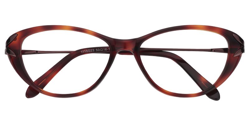 Bella Cat Eye Tortoise Glasses  | Zeelool Glasses1