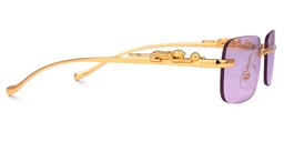 Carolina Rectangle Purple Sunglasses2