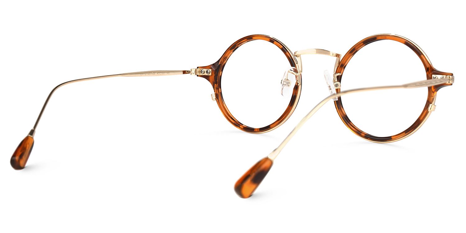 Ortiz Round Tortoise Glasses | Zeelool Glasses2