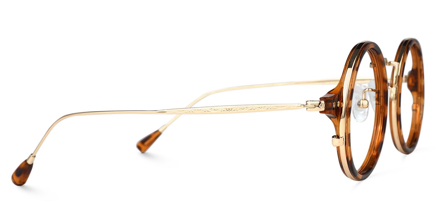 Ortiz Round Tortoise Glasses | Zeelool Glasses3