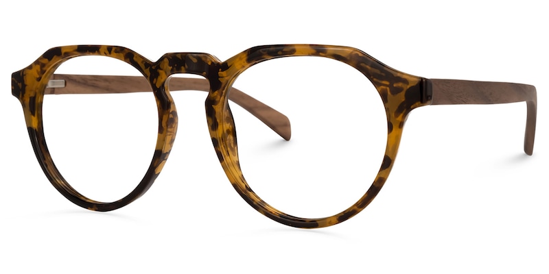 Allende Tortoise Brown Glasses | Zeelool Glasses1