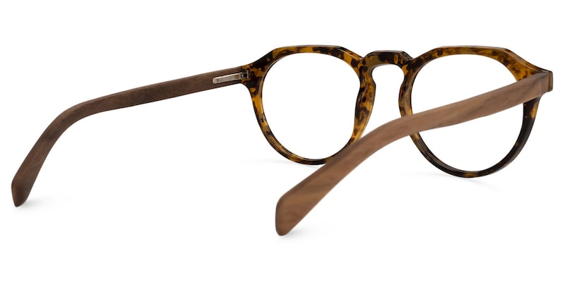 Allende Tortoise Brown Glasses | Zeelool Glasses2
