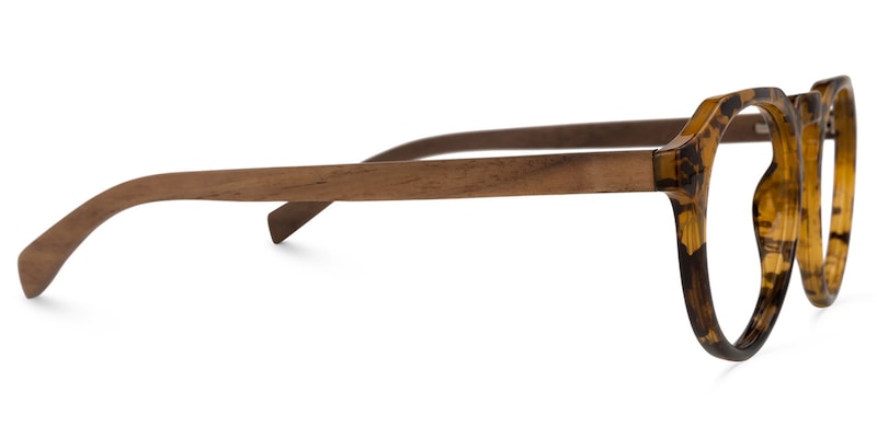 Allende Tortoise Brown Glasses | Zeelool Glasses3