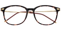 Greene Square Tortoise Glasses1