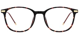 Greene Square Glasses2