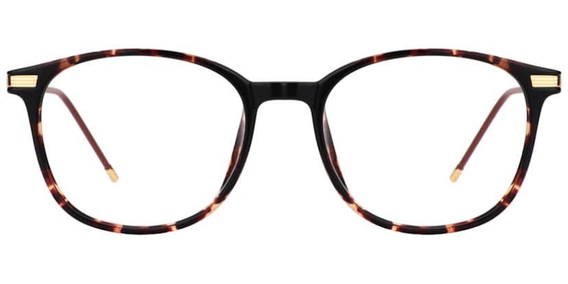 Greene Square Glasses