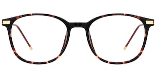 Greene Square Glasses2